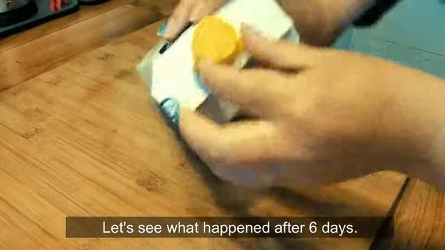 [Sub] BIG PROJECT! The Easiest Way to make Homemade Mung Bean Sprouts 超简单自发绿豆芽, Cook with GeGe