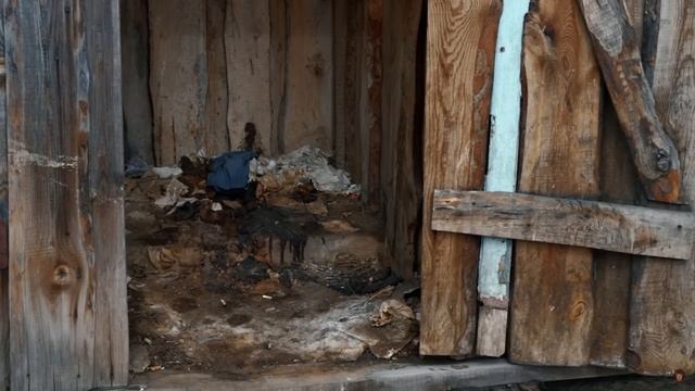 Найдена национальная русская ИДЕЯ, которую искал ещё Ельцин. РАСПРОСТРАНЯЙТЕ. смотреть онлайн