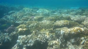 Бюджетный ЕГИПЕТ! Покажу всё! Отель Sharm Cliff Resort 4*. Шарм Эль Шейх 2019