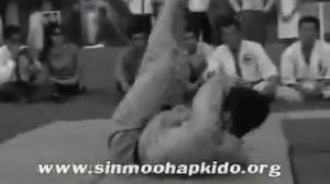 Korea Hapkido, Doju nim Ji Han Jae 1961