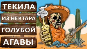 Текила из нектара голубой агавы. Самодельная Текила! Гоним на аппарате SPIRTMAN NEON.