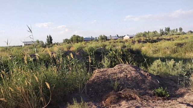 ЭЛЛИКАЬЛАДА УЧАСТКА СОТИЛАДИ НАРХИ 4500$ КЕЛИШИЛАДИ МУРАЖАТ УЧУН ТЕЛЕФОН +998913927586 +99899224638 смотреть онлайн