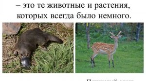 Окружающий мир Охрана животных 3класс  Пономарева Н А