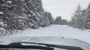 Сахалин. Спасаем Делику лебедкой через блок (полиспаст)