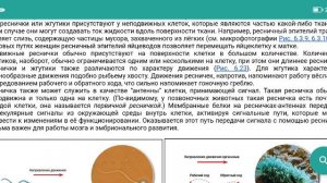 Компоненты цитоскелета: микротрубочки, микрофиламенты, промежуточные филаменты