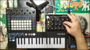 Moog Minitaur - ВумШД improv