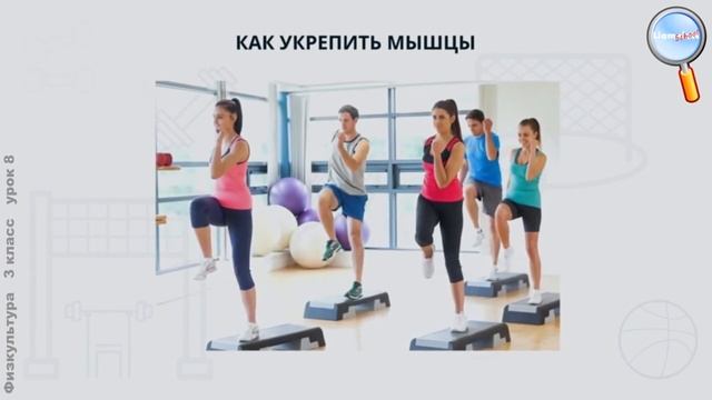 Физическая культура 3 класс (Урок№8 - Укрепляем мышцы рук и ног физическими упражнениями.)