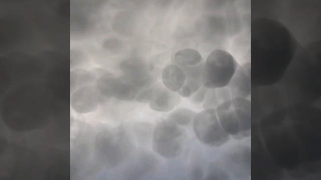 Такое бывает раз в 100 лет ! смотреть онлайн