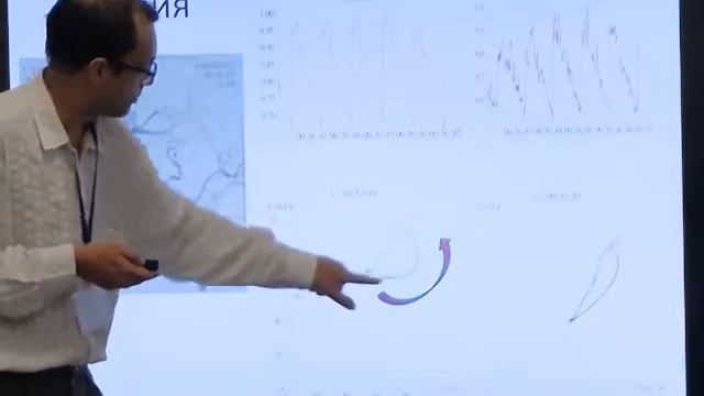 А. А. Черевко. Нелинейный осциллятор как модель гемодинамики мозга смотреть онлайн