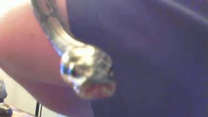 Slash my royal python