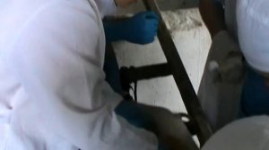 Практика по кастрации. Docent A.D. Stepanov, ПДАТУ