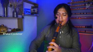 Pakari - Touching Andean flute music🍃