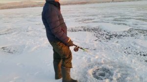 ЦАЙДАМ эта СНАСТЬ ВЫРУЧИТ там ГДЕ ДРУГИЕ СНАСТИ БЕСПОЛЕЗНЫ. ловля на БАЛДУ. оз Гусиное