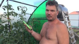 Степлер для подвязки растений _ супер вещь!