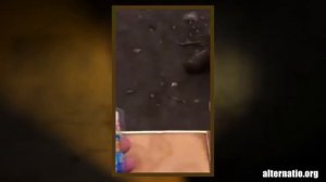 Андрей Ваджра. Вся правда об украинской армии: чем кормят солдат на Украине и в России (№ 21)