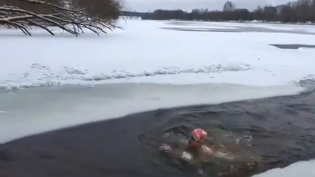 заплывы МОРЖЕЙ СТОЛИЦЫ 4 12 2016 в 30 метровой проруби фрагмент смотреть онлайн
