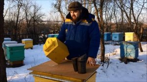 Ящик для пчелоинвентаря/инструмента своими руками. Помощник на пасеке. Советы пчеловодам