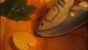 Быстро сушим листья для гербария утюгом