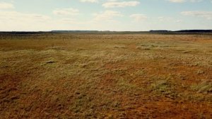 Мшинское болото с высоты птичьего полёта