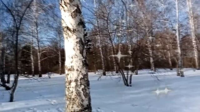 А.С. Пушкин "Зимнее утро". Читает Артём А. смотреть онлайн