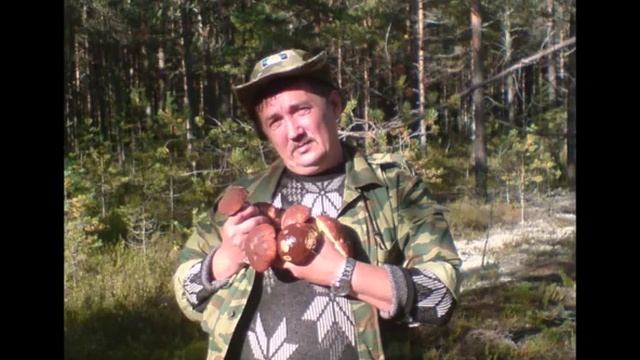 Карелия 2012 смотреть онлайн