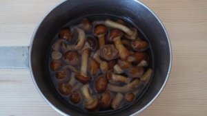 Жульен из опят