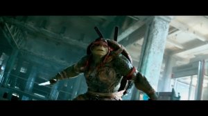 Черепашки-ниндзя - О черепашках