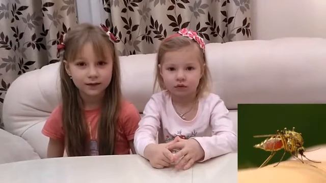 Развивающие игры для детей Правда ли это смотреть онлайн