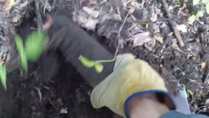 НАХОЖУ И СОБИРАЮ ЭТИ НАХОДКИ  ВДОЛЬ ДОРОГИ . коп металлолома