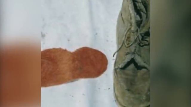 ЗАГАДОЧНОЕ ИСЧЕЗНОВЕНИЕ ДВУХ ДЕВУШЕК РАСКРЫТО СПУСТЯ 39 ЛЕТ смотреть онлайн