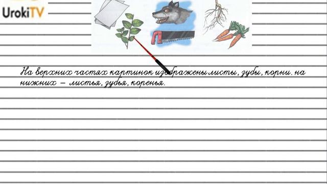 Упражнение 591  Гдз по русскому языку 5 класс Ладыженская 2019 часть 2
