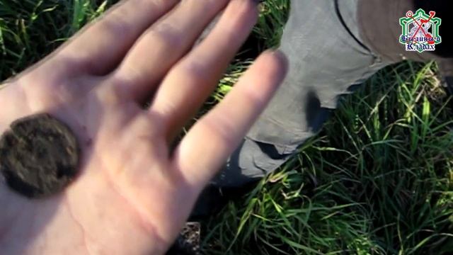 Две пчелки 1820, 1822 в годы правления Александра 1 смотреть онлайн