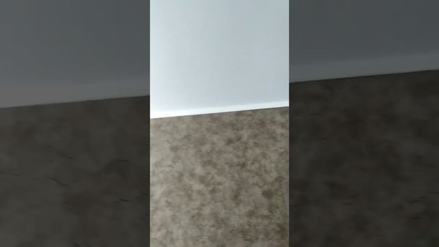 Видео прихожая санузел д.25 Совхоз им Ленина смотреть онлайн