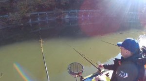 Херабуна Какуредани Понд...Соревнование!!!