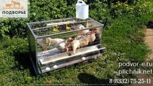 Клетка для кур на 10 голов