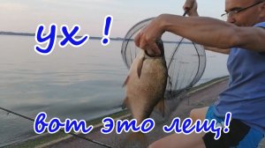 Большой лещ на фидер!