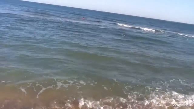 Азовское Море ,Казантипский залив,Новоотрадное 2017