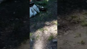 Казань Лебяжье