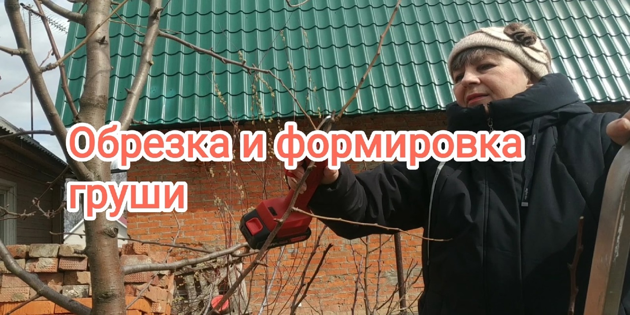 Формировка,обрезка и прореживание груши..mp4