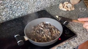 Лесные шампиньоны.