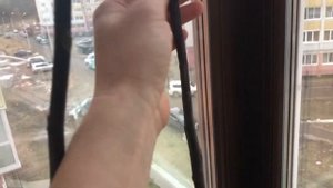 Отзыв о питомнике твой сад ( инжир кадота, турецкий коричневый, голубика патриот)