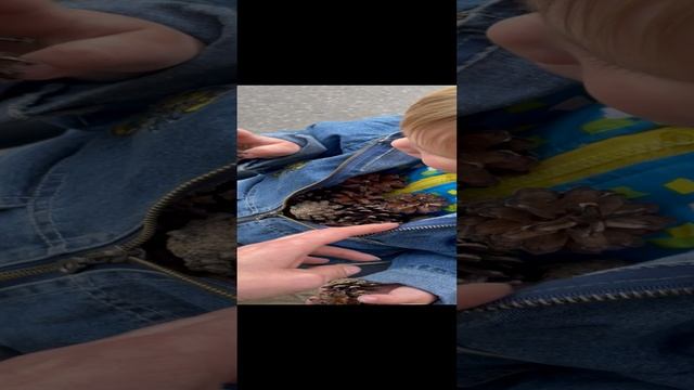 Мы развлекались как могли ?