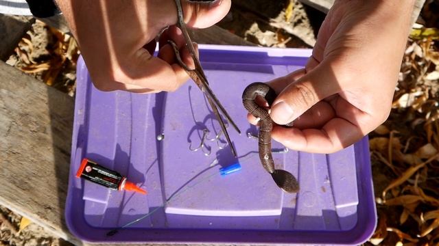 Такой приманки ты еще не видел. Хищник берет на каждом забросе, это надо видеть. Как ее изготовить? смотреть онлайн