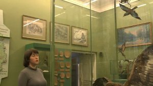 Краснокнижные животные Тульской области