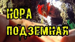 ПОДЗЕМНАЯ НОРА