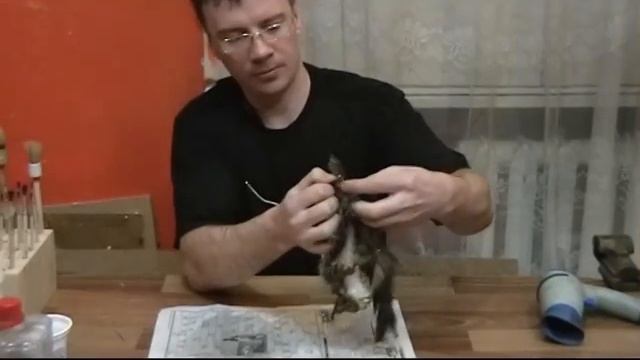 Таксидермия, изготовление чучела белки смотреть онлайн