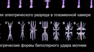 Артефакты от подписчиков 41
