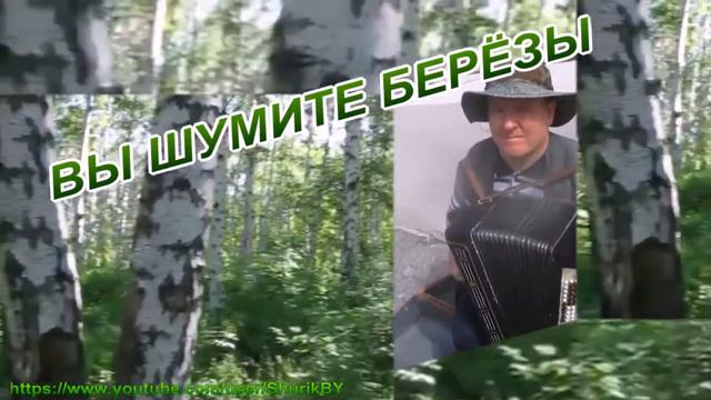 Вы шумите берёзы смотреть онлайн