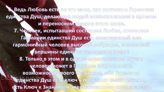 Взаимоотношение Инь и Ян 2 смотреть онлайн