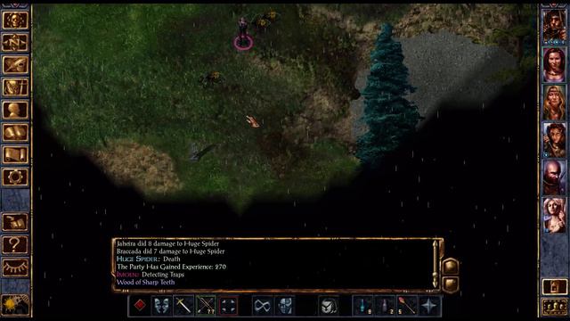 #038 Baldur's Gate 1 (EE) | Viconia de Vir | "Hardcore Mode"